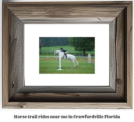 horse trail rides near me in Crawfordville, Florida